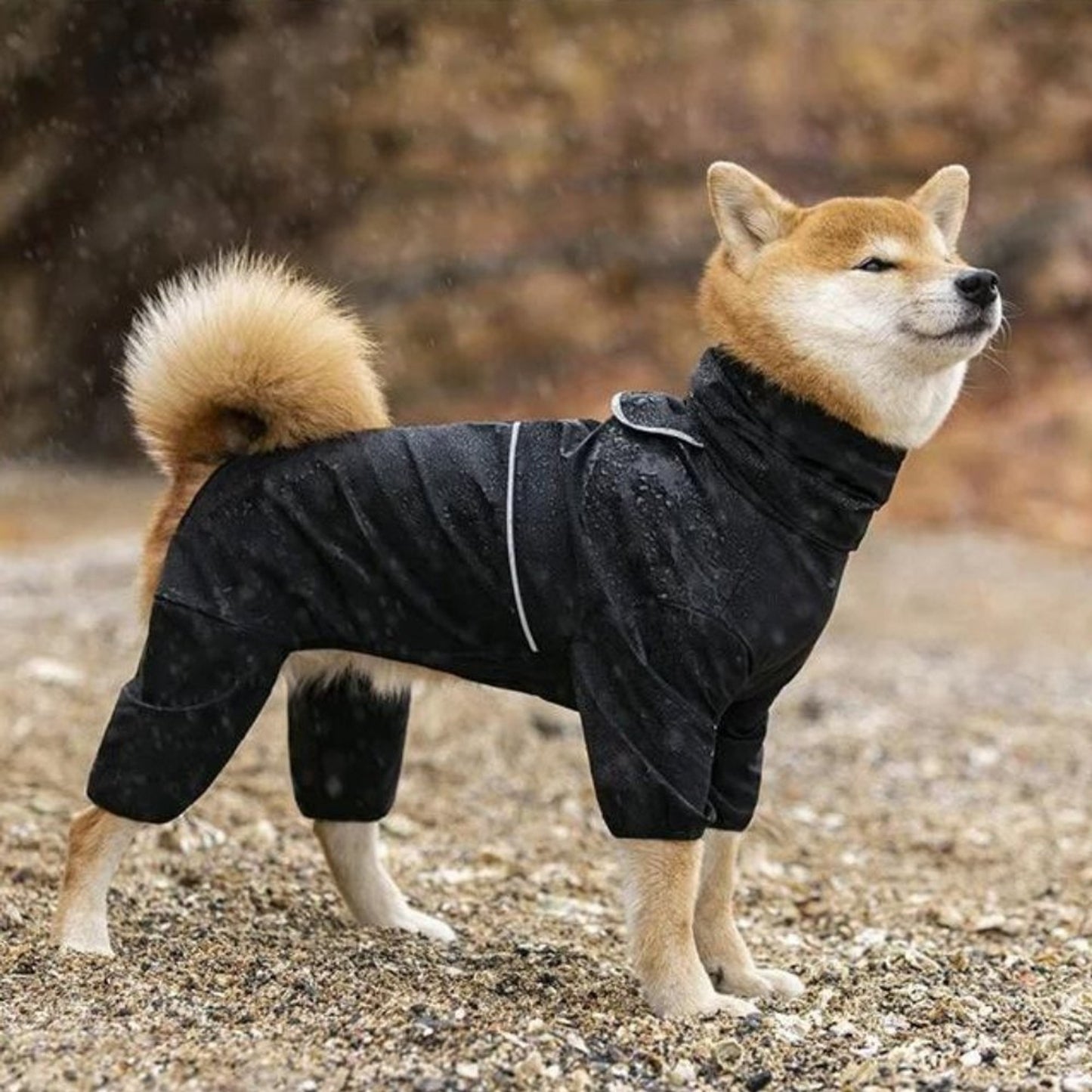 Dog Raincoat Waterproof Jacket With Hood Full-Body Leg Coverage For Pets - Image 7