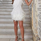 Cute Feather Mini Dress 3