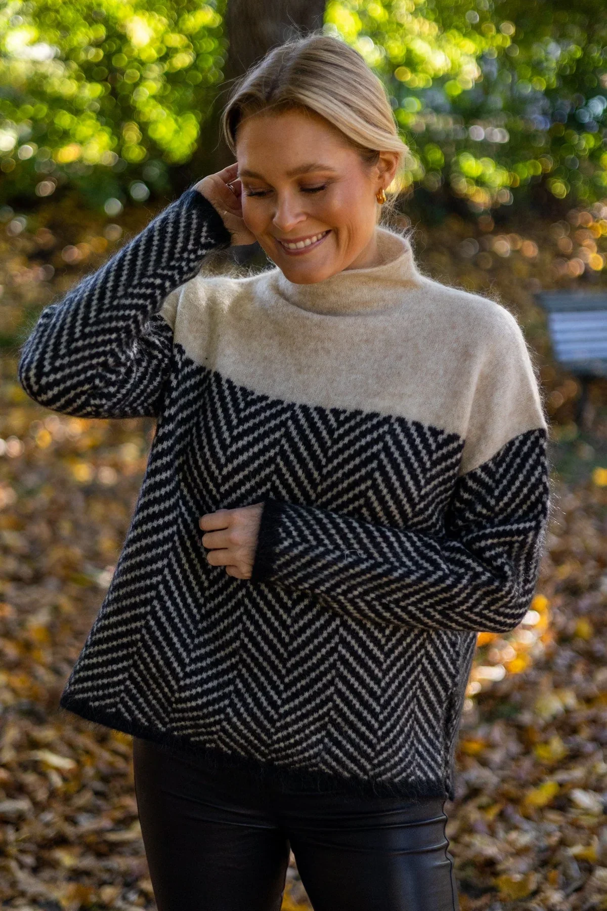 The Eireann Chevron Turtleneck Sweater 1