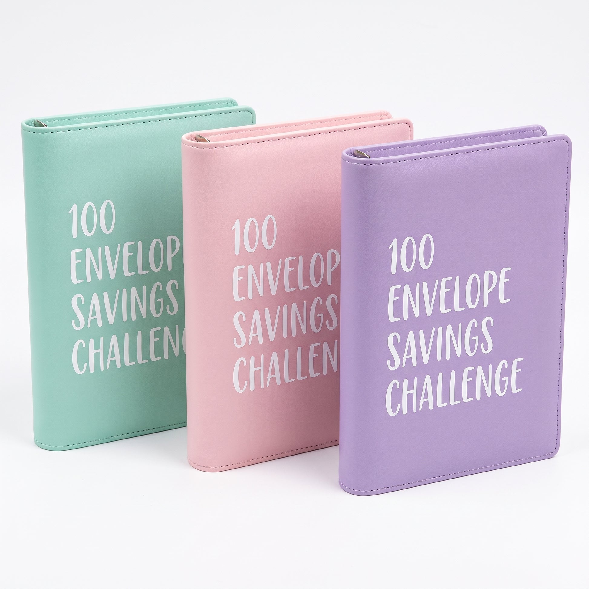 Budget Planner Budgeting Tool 100 Envelope Challenge Savings Binder - studio