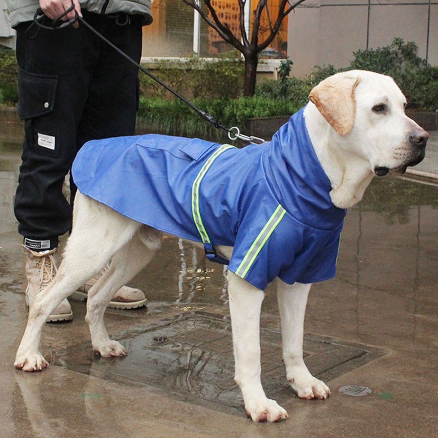 Dog Jacket Raincoat Hooded With Reflective Stripes And Adjustable Strap - Image 1