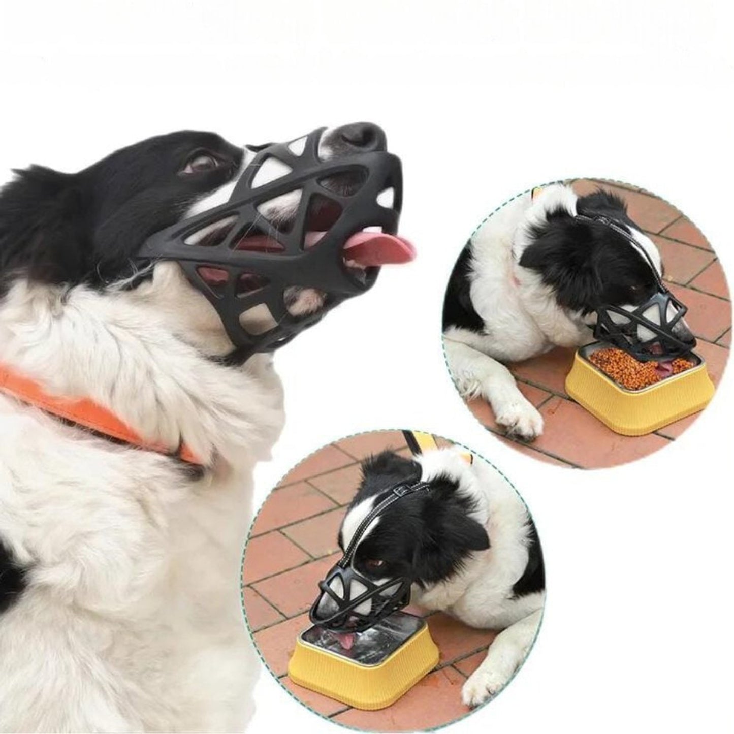 Dog Muzzle For Training Secure Mouth Guard Basket Style With Adjustable Straps Allows Panting And Drinking - Image 7