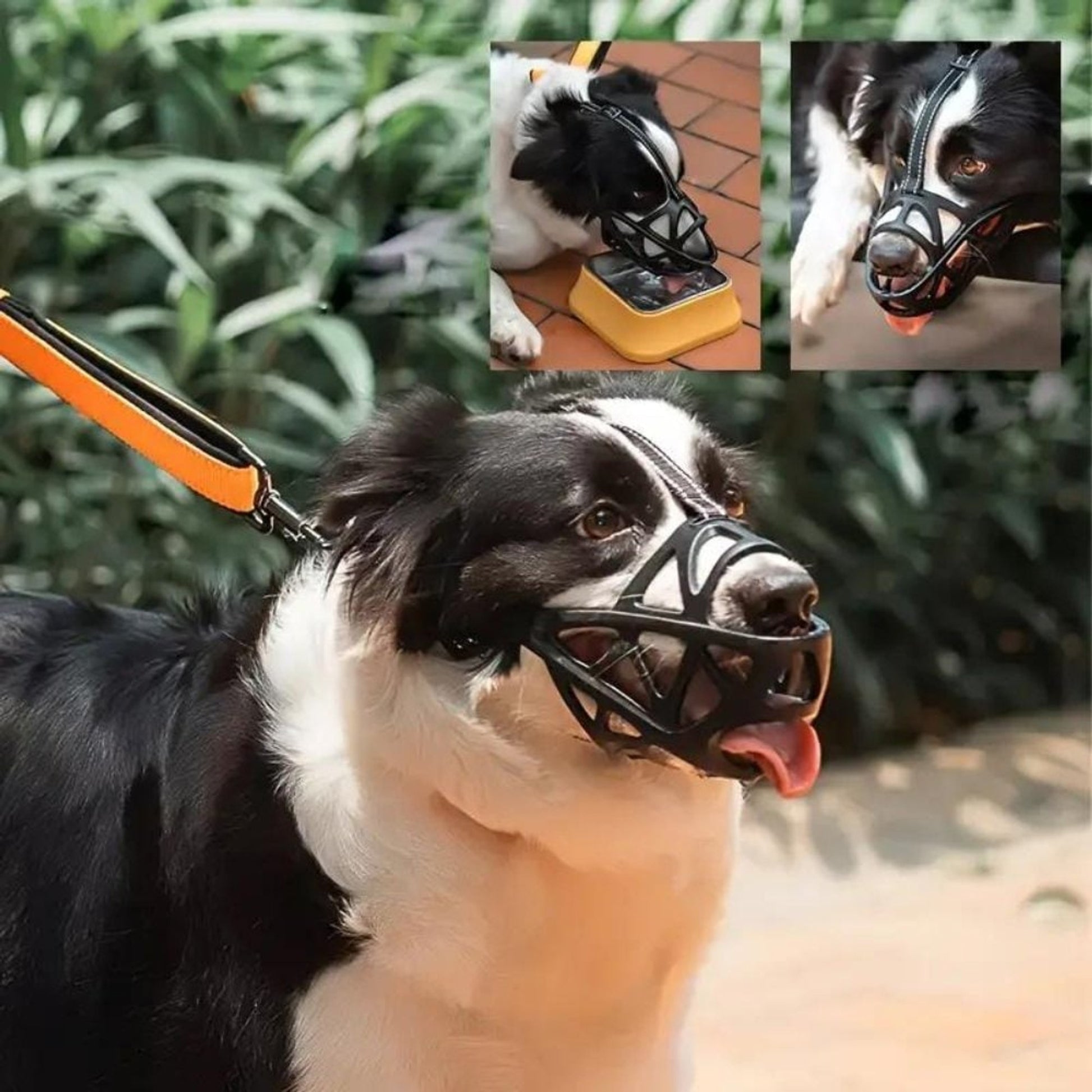 Dog Muzzle For Training Secure Mouth Guard Basket Style With Adjustable Straps Allows Panting And Drinking - Image 5