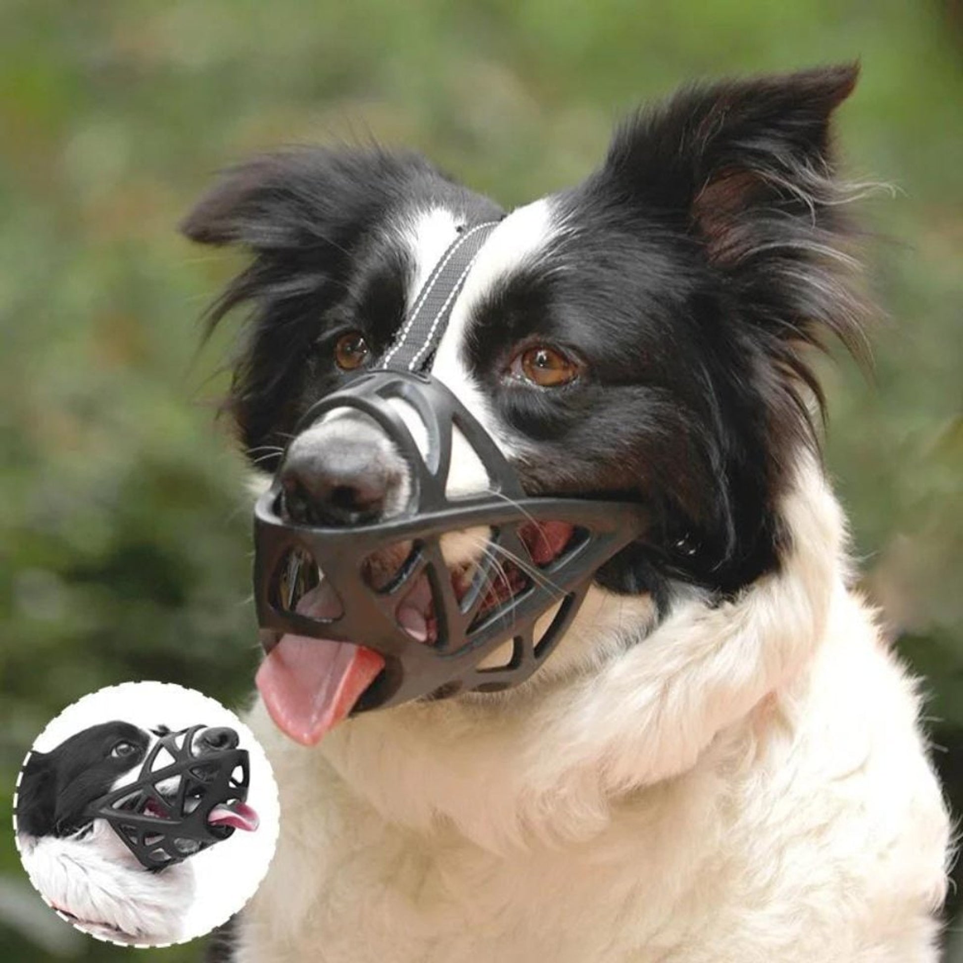 Dog Muzzle For Training Secure Mouth Guard Basket Style With Adjustable Straps Allows Panting And Drinking - Image 3