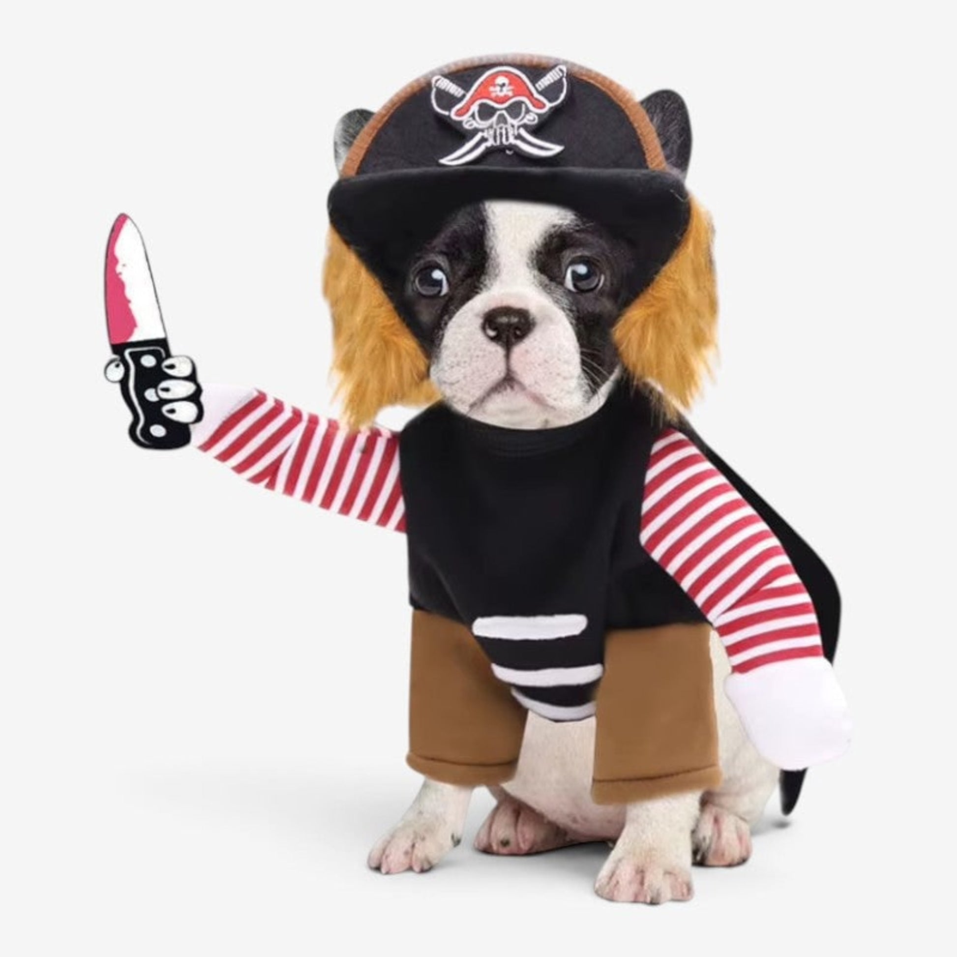 Dog Pirate Costume Halloween Outfit Pet Black Brown Striped - Image 1