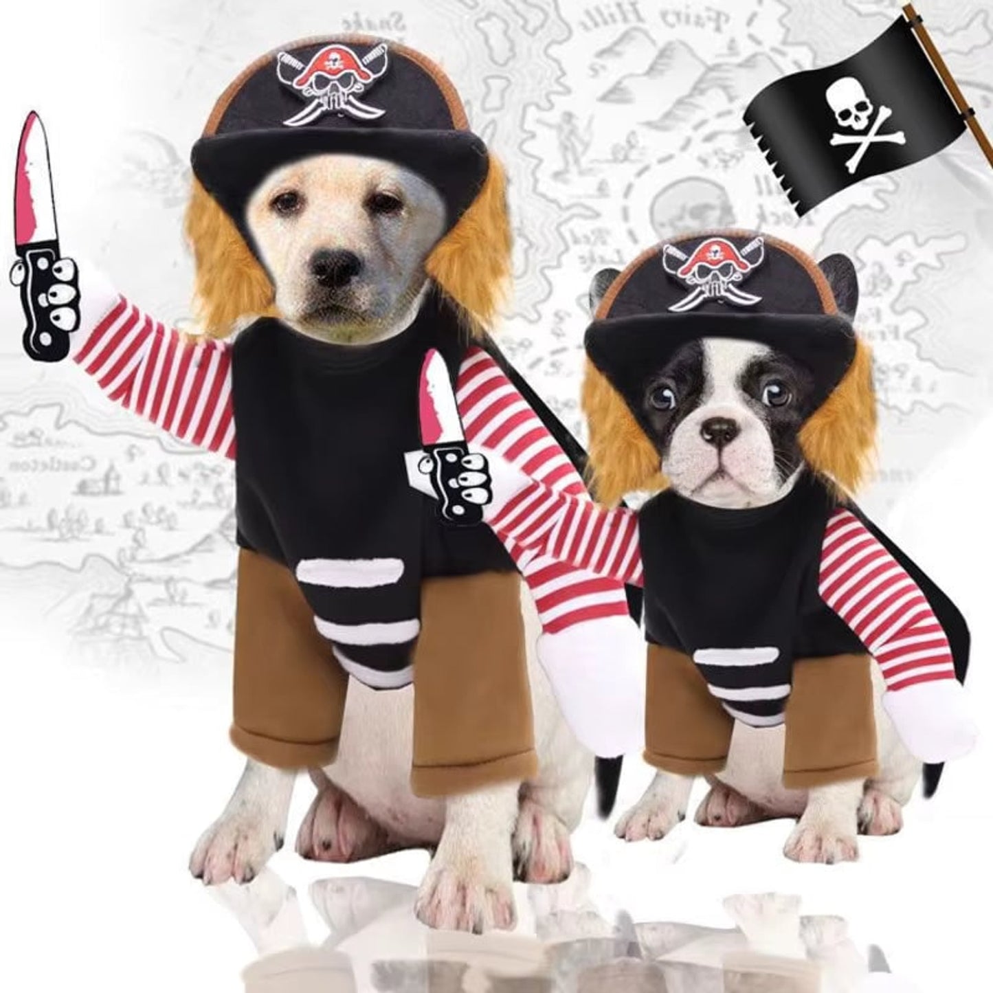 Dog Pirate Costume Halloween Outfit Pet Black Brown Striped - Image 4