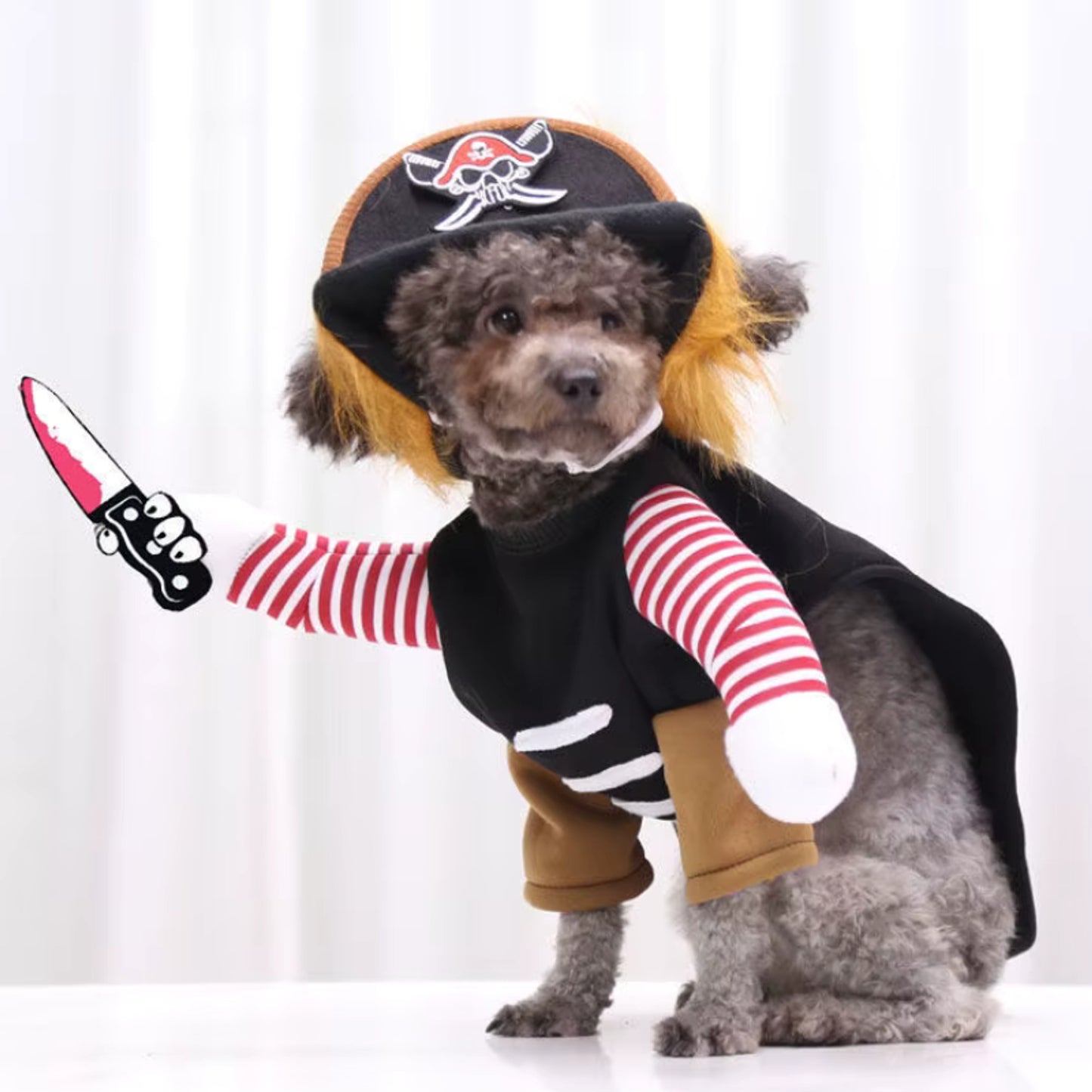 Dog Pirate Costume Halloween Outfit Pet Black Brown Striped - Image 3