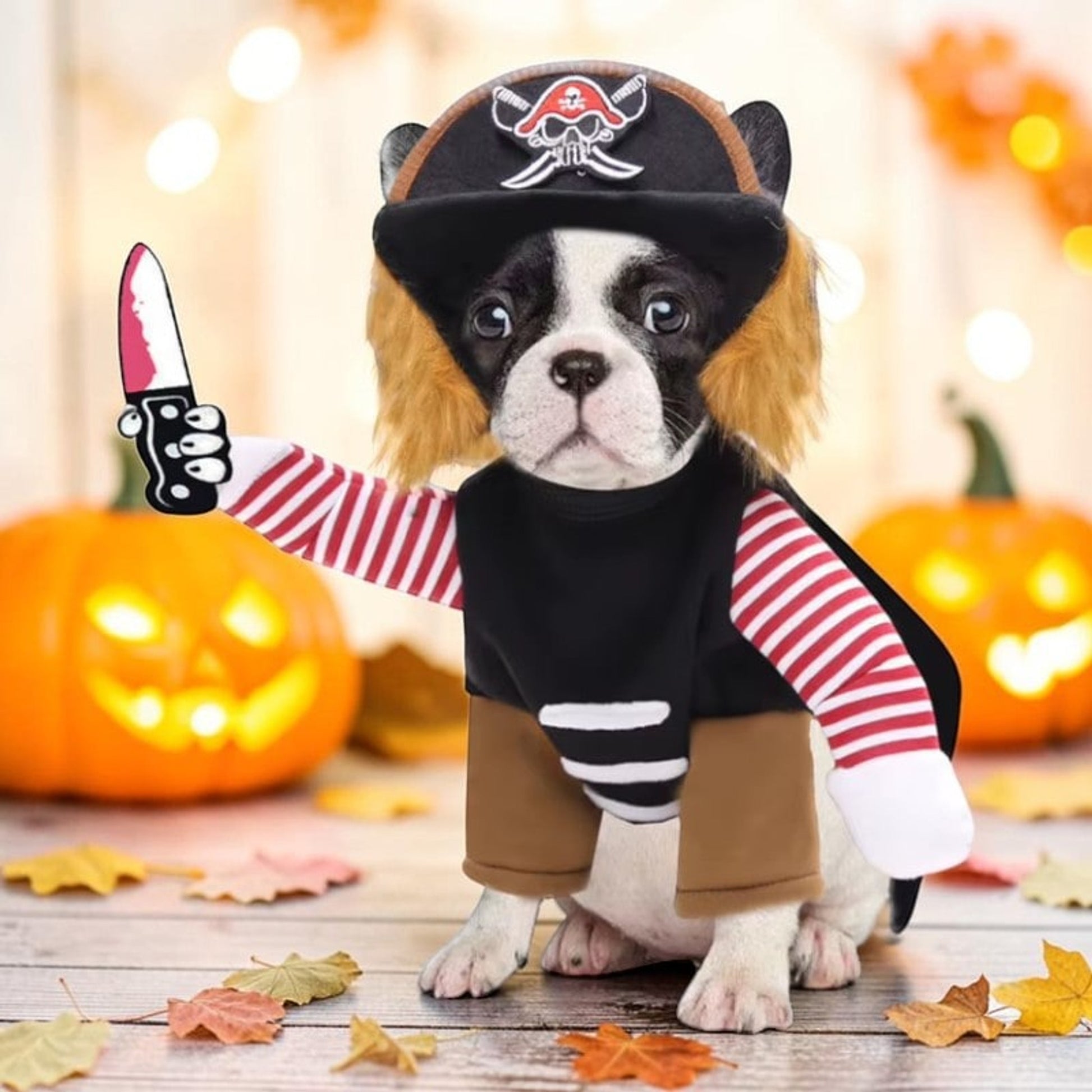 Dog Pirate Costume Halloween Outfit Pet Black Brown Striped - Image 2