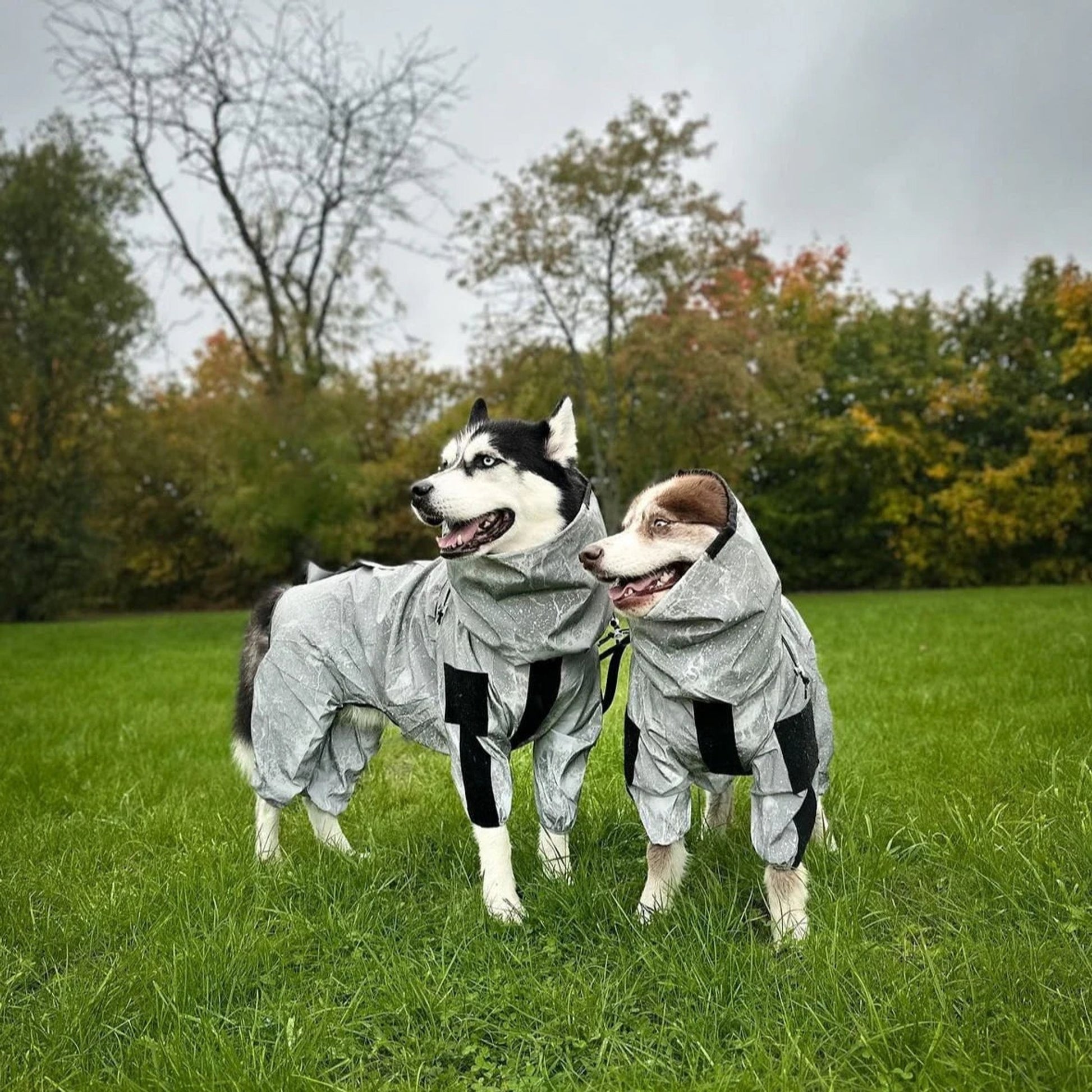 Dog Raincoat Full Body Reflective Waterproof Jacket With Hood For Pets - Image 2