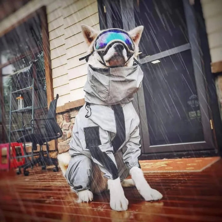 Dog Raincoat Waterproof Full Body Rain Jacket With Hood For Pets Grey Black Accents - Image 7