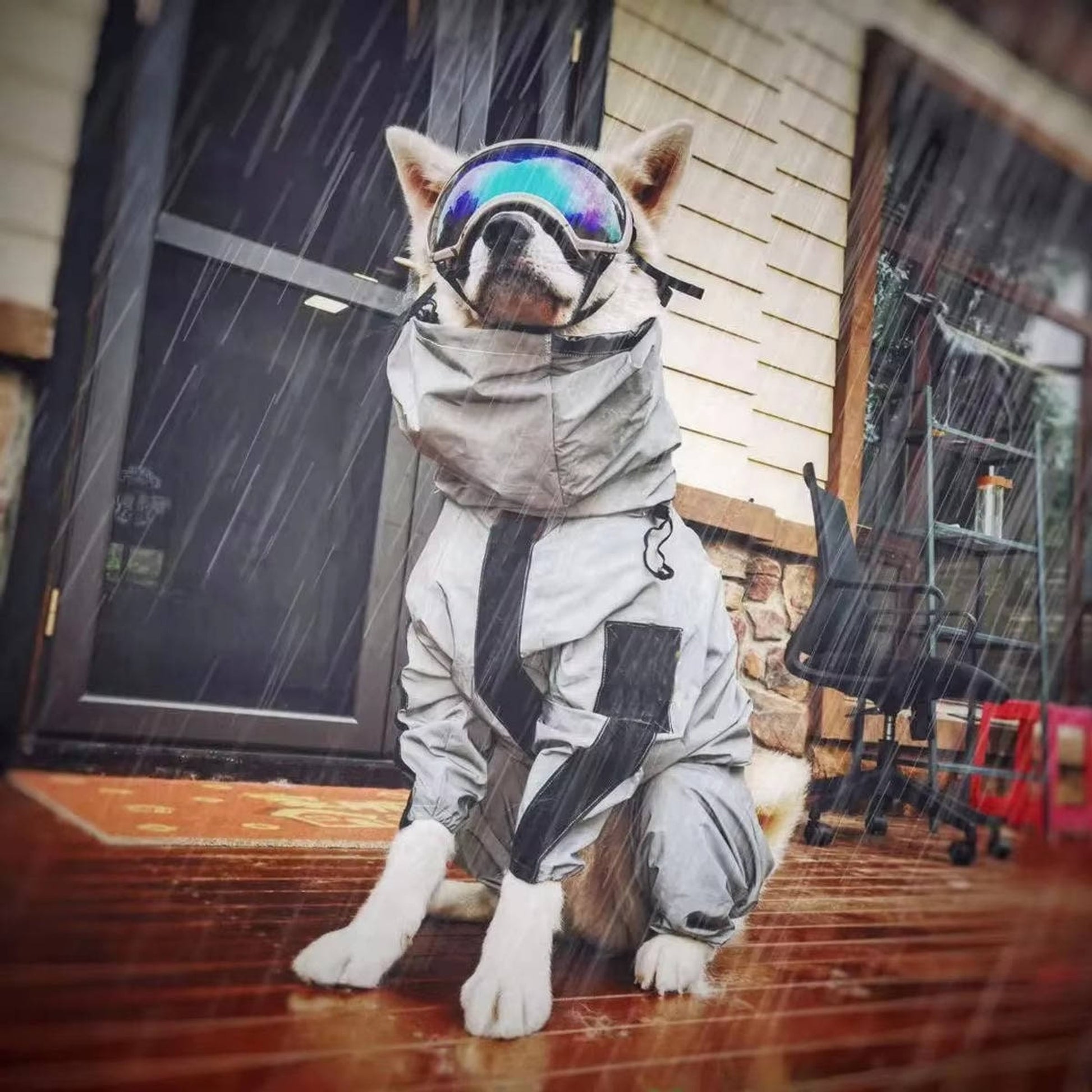 Dog Raincoat Waterproof Full-Body Suit With Hood Reflective Jacket For Pets - Image 2