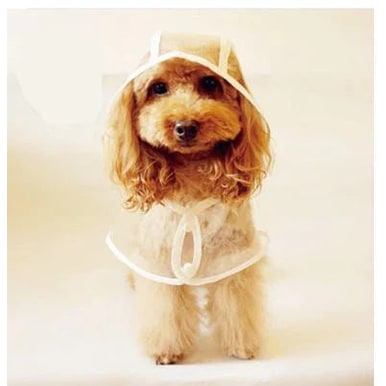 Dog Raincoat Waterproof Jacket Clear Hooded Pet Rain Gear With Colored Trim - Image 2