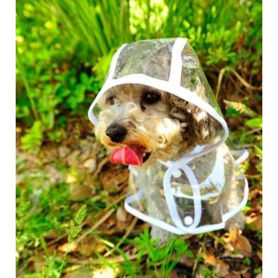 Dog Raincoat Waterproof Jacket Clear Hooded Pet Rain Gear With Colored Trim - Image 3