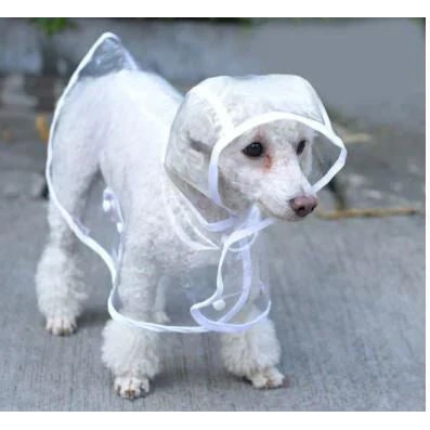 Dog Raincoat Waterproof Jacket Clear Hooded Pet Rain Gear With Colored Trim - Image 4