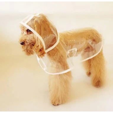 Dog Raincoat Waterproof Jacket Clear Hooded Pet Rain Gear With Colored Trim - Image 5