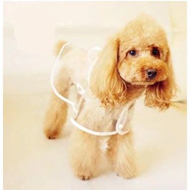 Dog Raincoat Waterproof Jacket Clear Hooded Pet Rain Gear With Colored Trim - Image 6