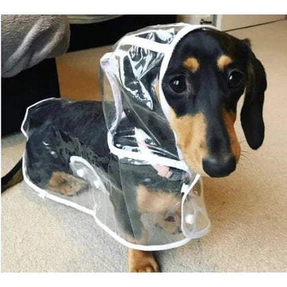 Dog Raincoat Waterproof Jacket Clear Hooded Pet Rain Gear With Colored Trim - Image 7