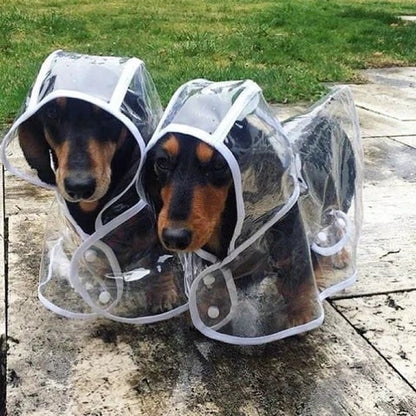 Dog Raincoat Waterproof Jacket Clear Hooded Pet Rain Gear With Colored Trim - Image 9