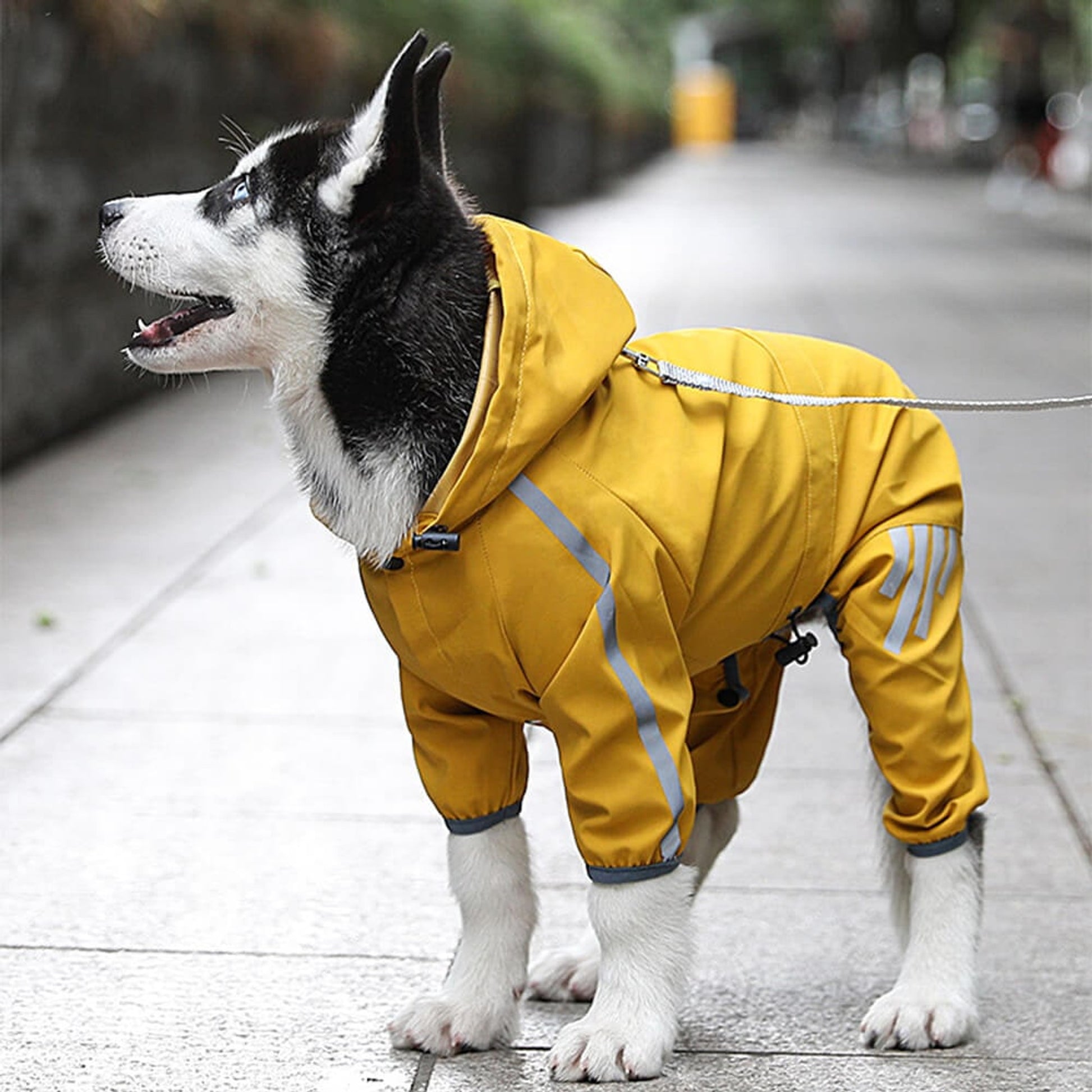 Dog Raincoat Waterproof Jacket With Adjustable Hood And Reflective Strips For Full Body Coverage - Image 1