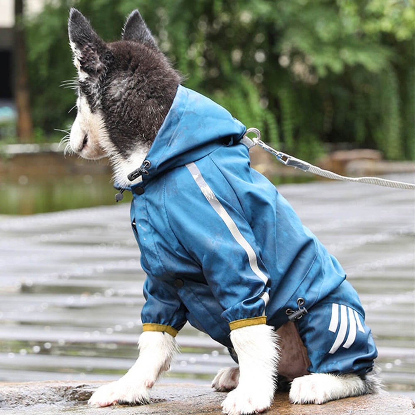 Dog Raincoat Waterproof Jacket With Adjustable Hood And Reflective Strips For Full Body Coverage - Image 5
