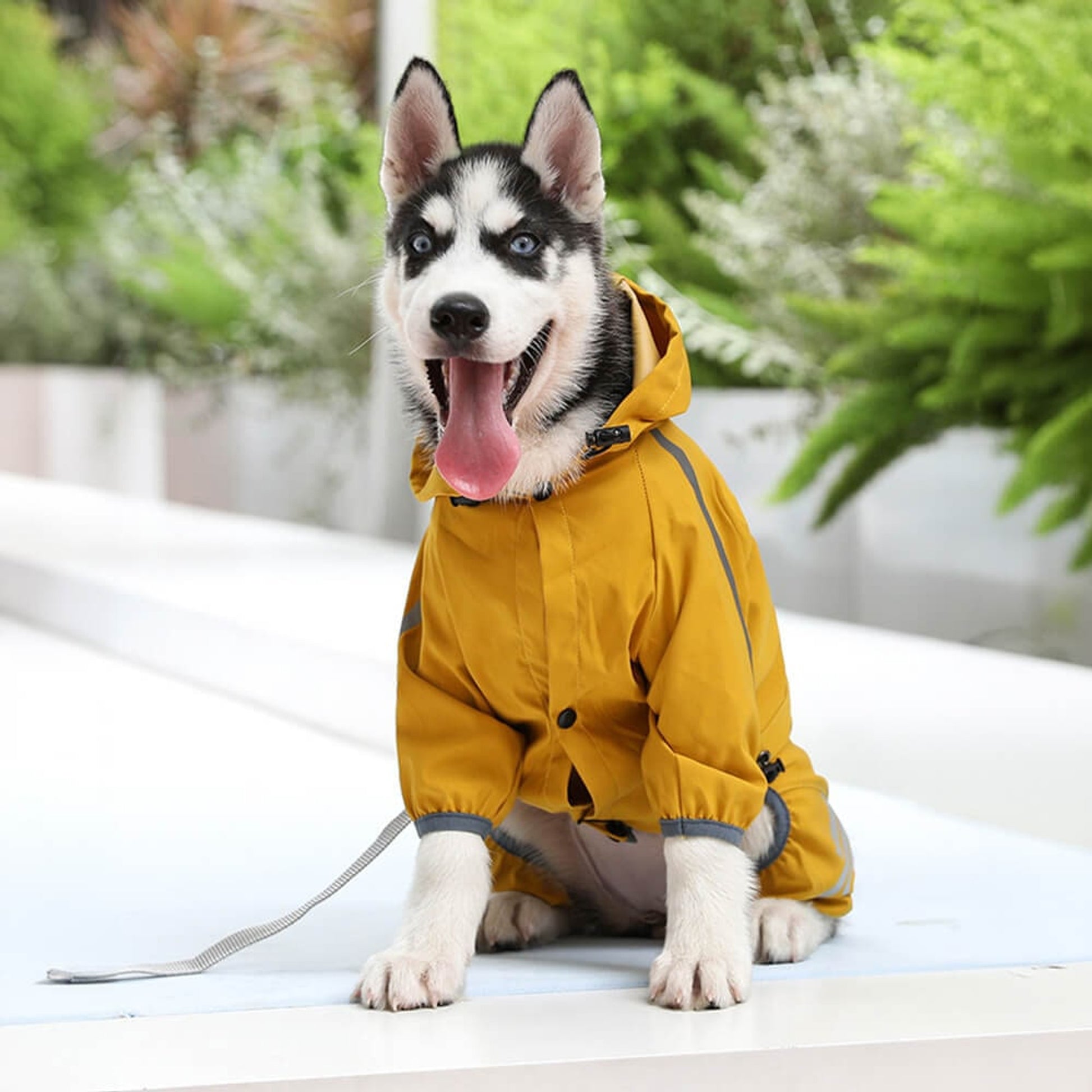 Dog Raincoat Waterproof Jacket With Adjustable Hood And Reflective Strips For Full Body Coverage - Image 8