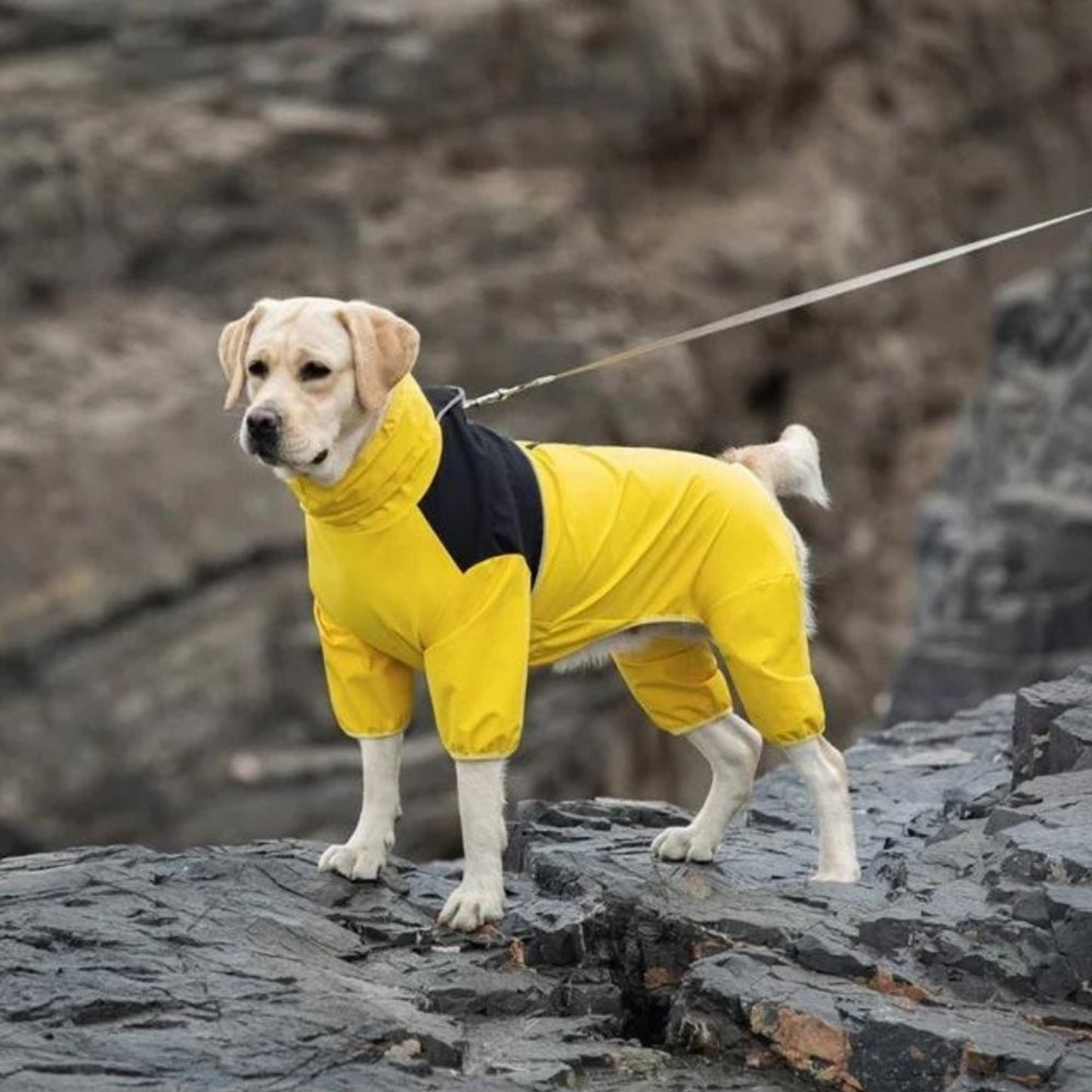 Dog Raincoat Waterproof Jacket With Hood Full-Body Leg Coverage For Pets - Image 1