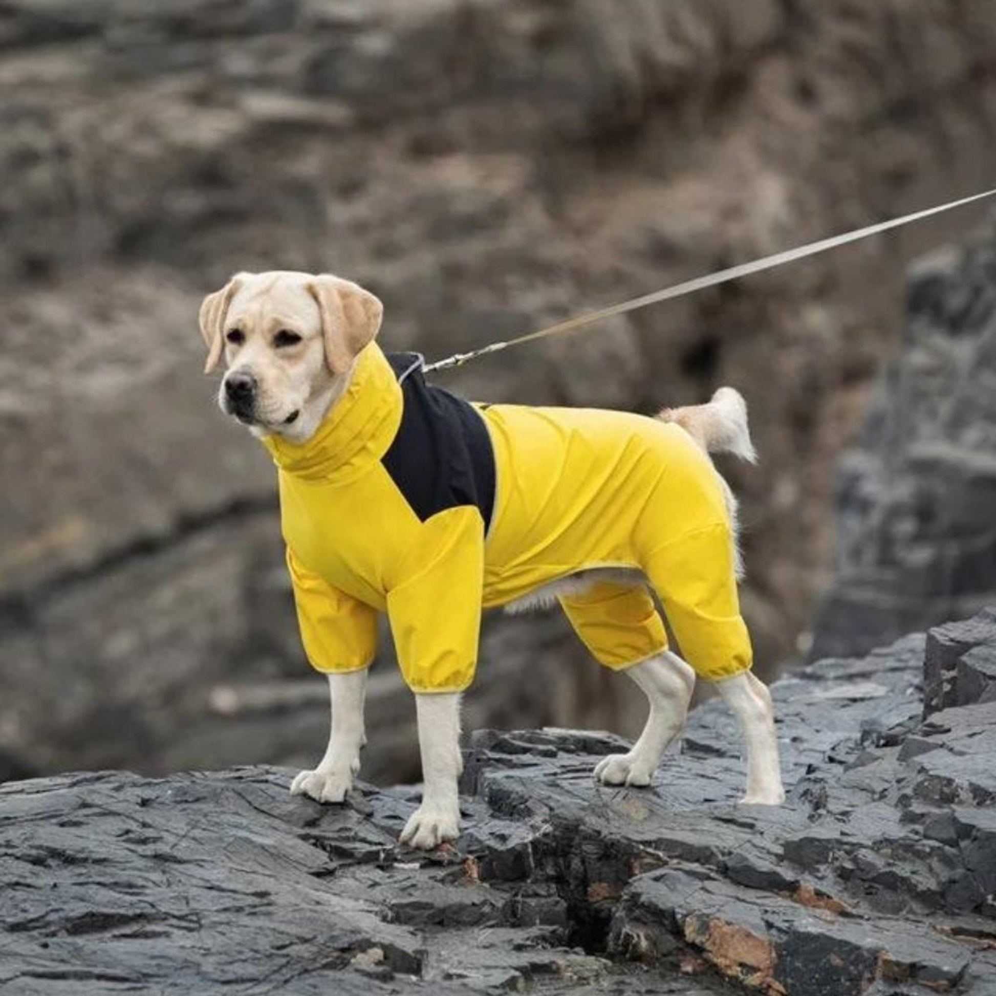Dog Raincoat Waterproof Jacket With Hood Full-Body Leg Coverage For Pets - Image 1