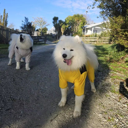 Dog Raincoat Waterproof Jacket With Hood Full-Body Leg Coverage For Pets - Image 3