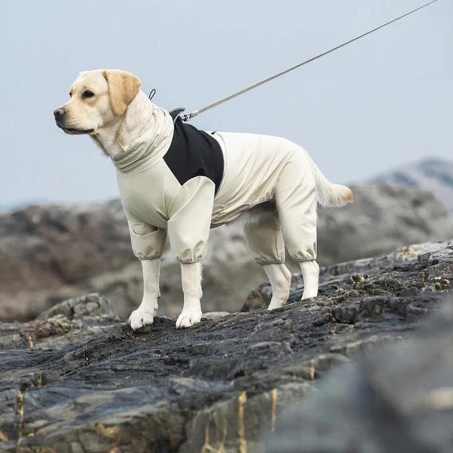 Dog Raincoat Waterproof Jacket With Hood Full-Body Leg Coverage For Pets - Image 2