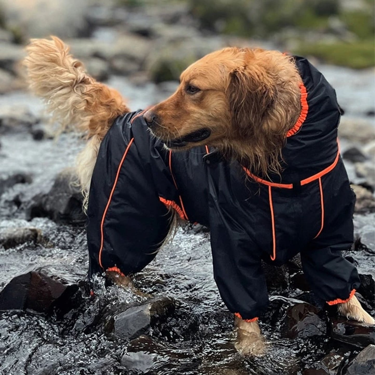 Dog Raincoat With Legs Rain Jacket For Large Full-Body Suit With Hood And Elastic Cuffs - Image 1