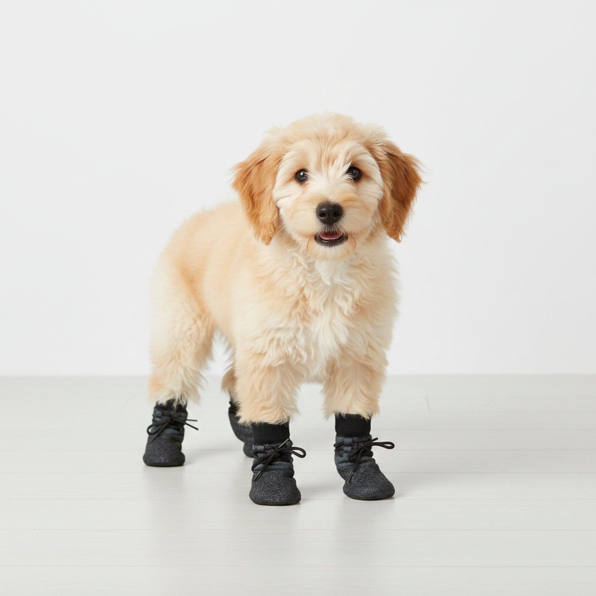 Dog Shoes Paw Protectors For With Rubber Soles And Adjustable Straps For Secure Fit - Image 2