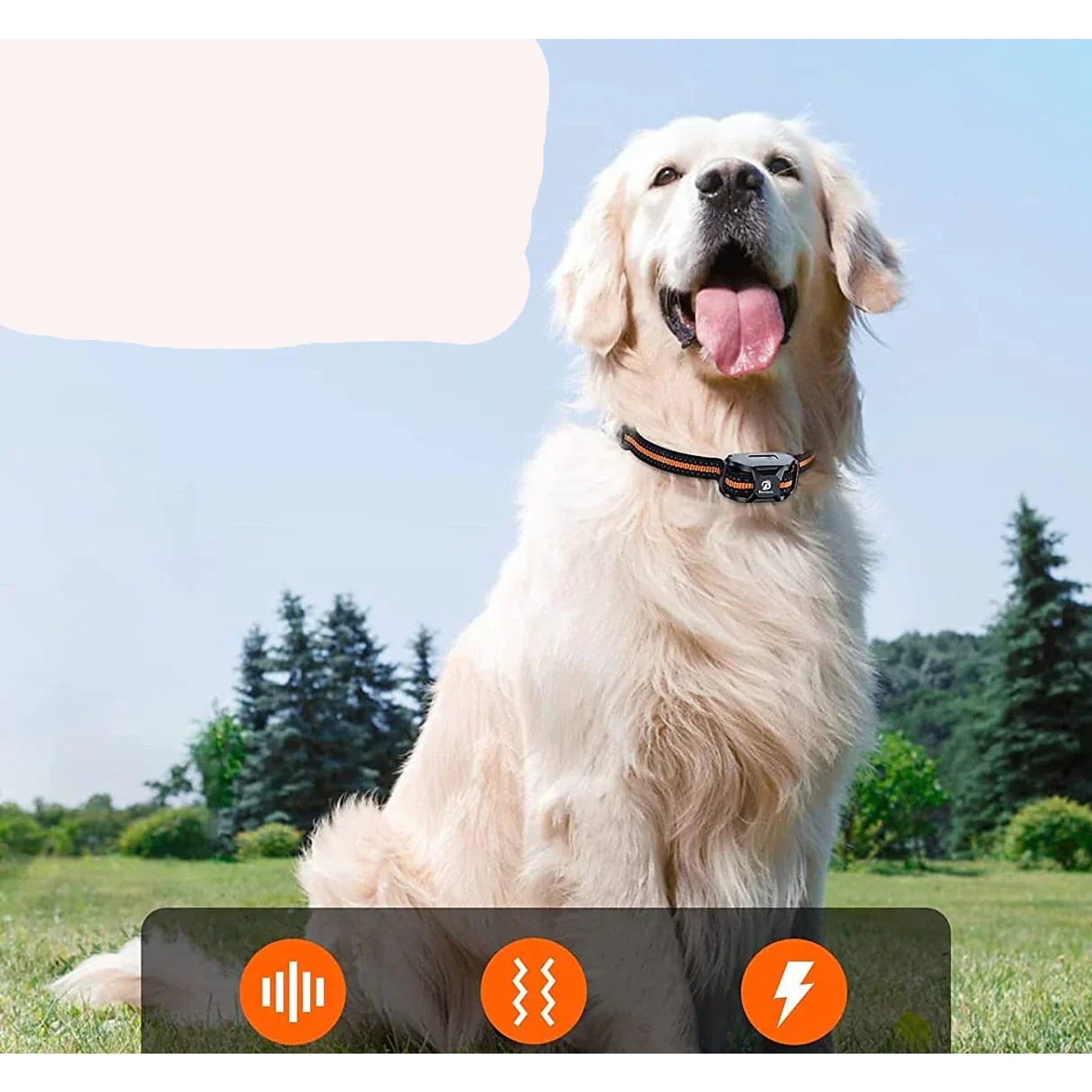 Dog Training Collar E For With Remote Control Vibration And Shock Modes - Image 5