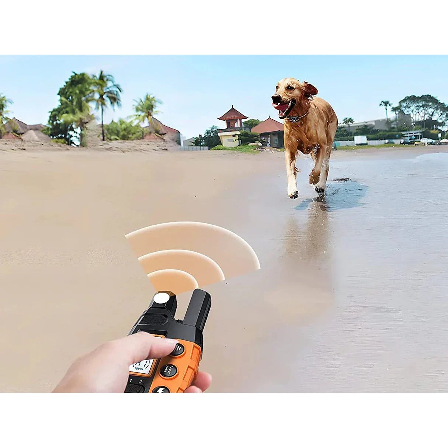 Dog Training Collar E For With Remote Control Vibration And Shock Modes - Image 7