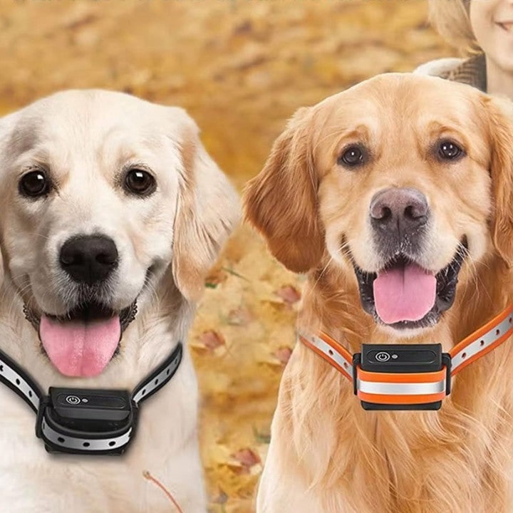 Dog Training Collar With Remote Control For Featuring Shock And Vibration Modes For Effective - Image 1