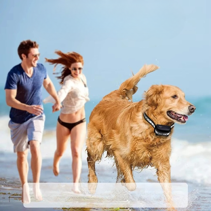Dog Training Collar With Remote Control For Featuring Shock And Vibration Modes For Effective - Image 6