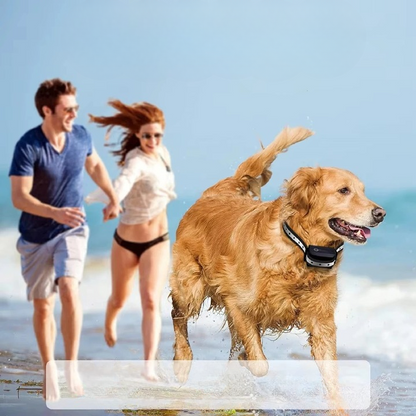 Dog Training Collar With Remote Control For Featuring Shock And Vibration Modes For Effective - Image 6