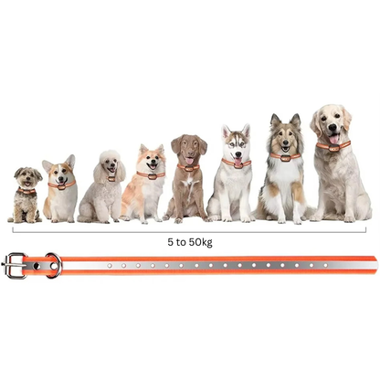 Dog Training Collar With Remote Control For Featuring Shock And Vibration Modes For Effective - Image 7
