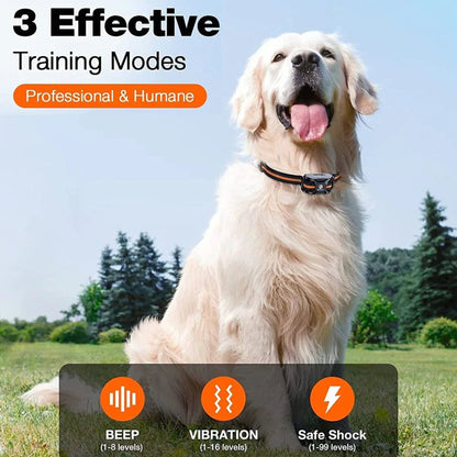 Dog Training Collar With Remote E-Collar For Shock And Vibration Waterproof - Image 6
