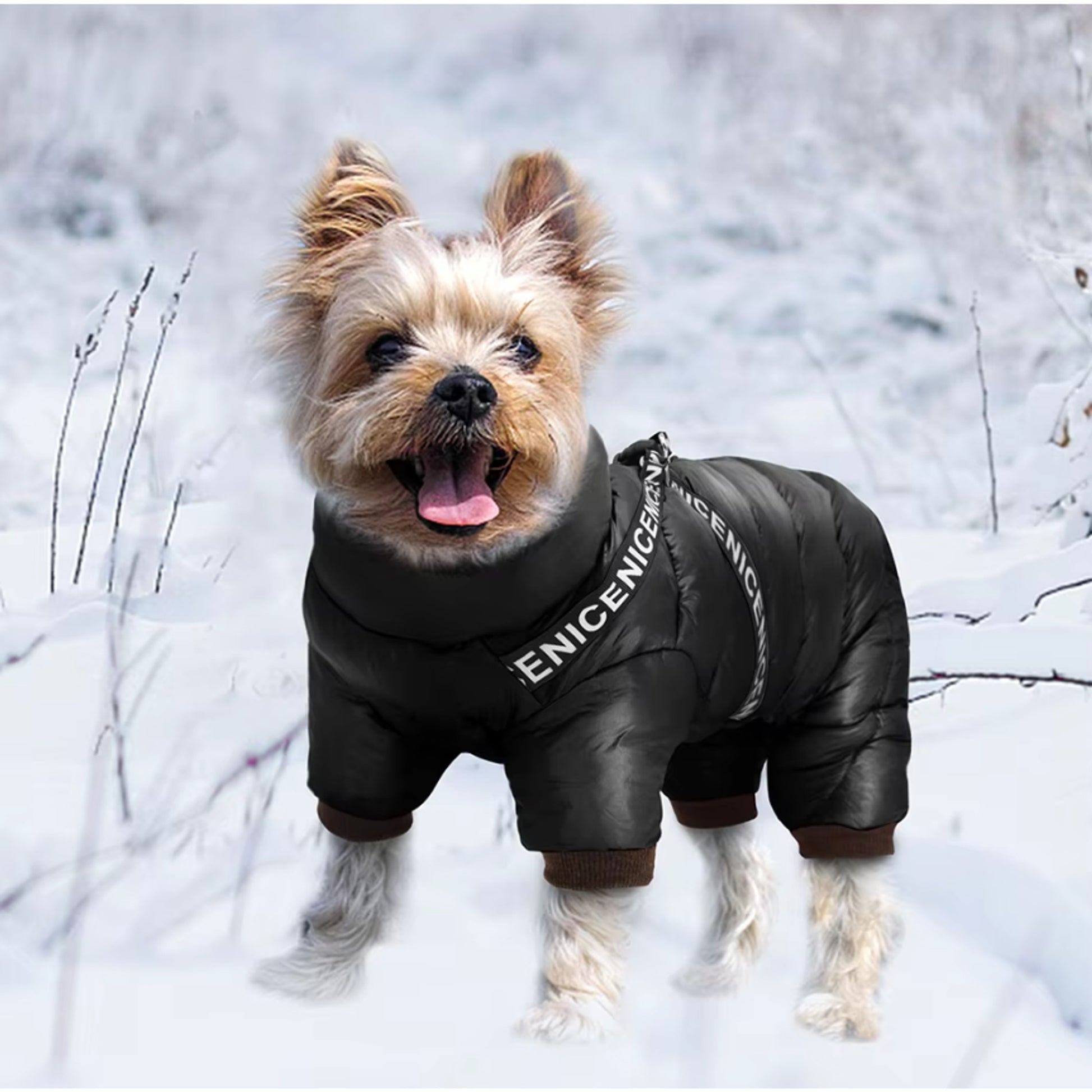 Dog Winter Coat Padded Jumpsuit With Harness D-Ring And Waterproof Fabric - Image 1