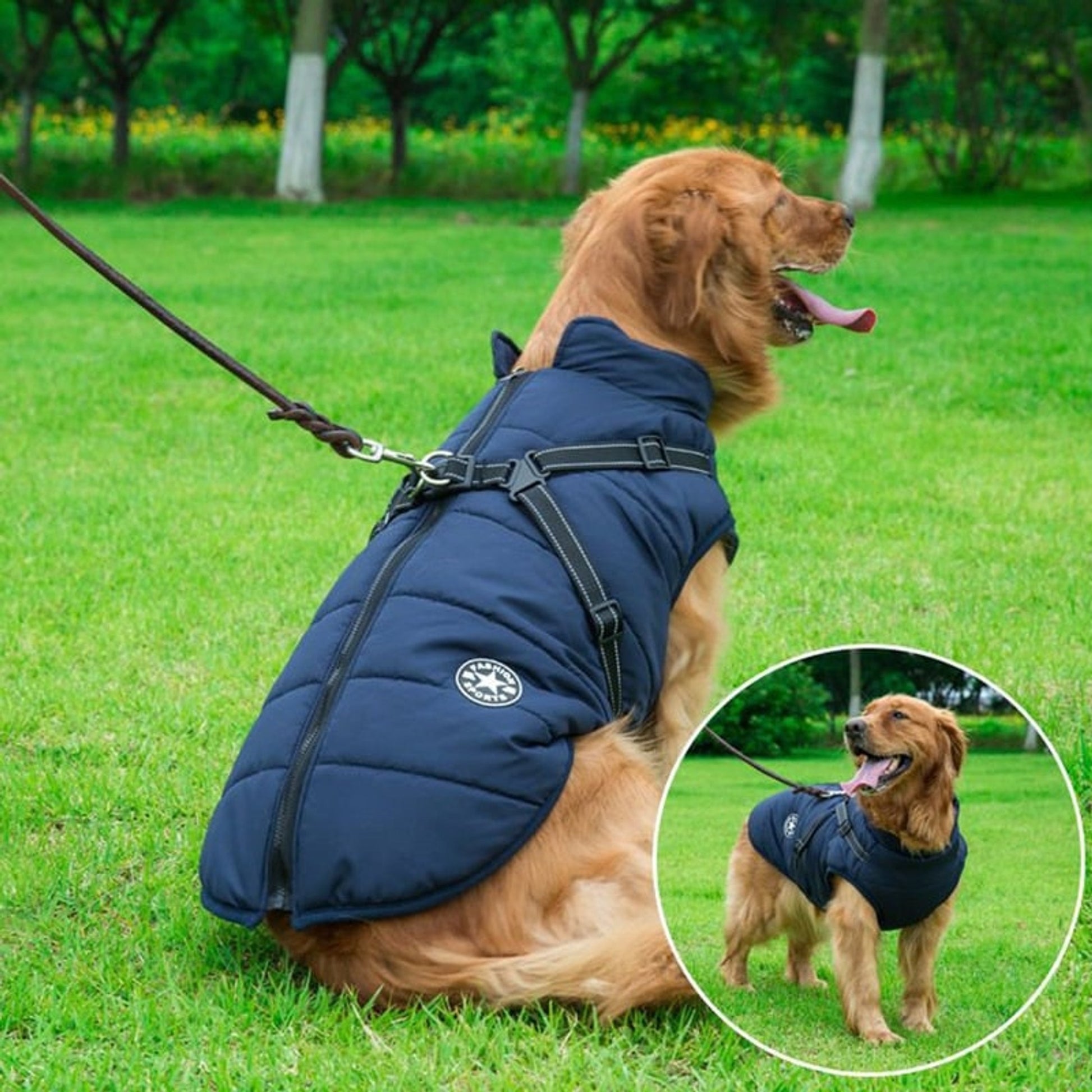 Dog Winter Coat With Harness Warm Waterproof Padded Vest Jacket For Pets - Image 1