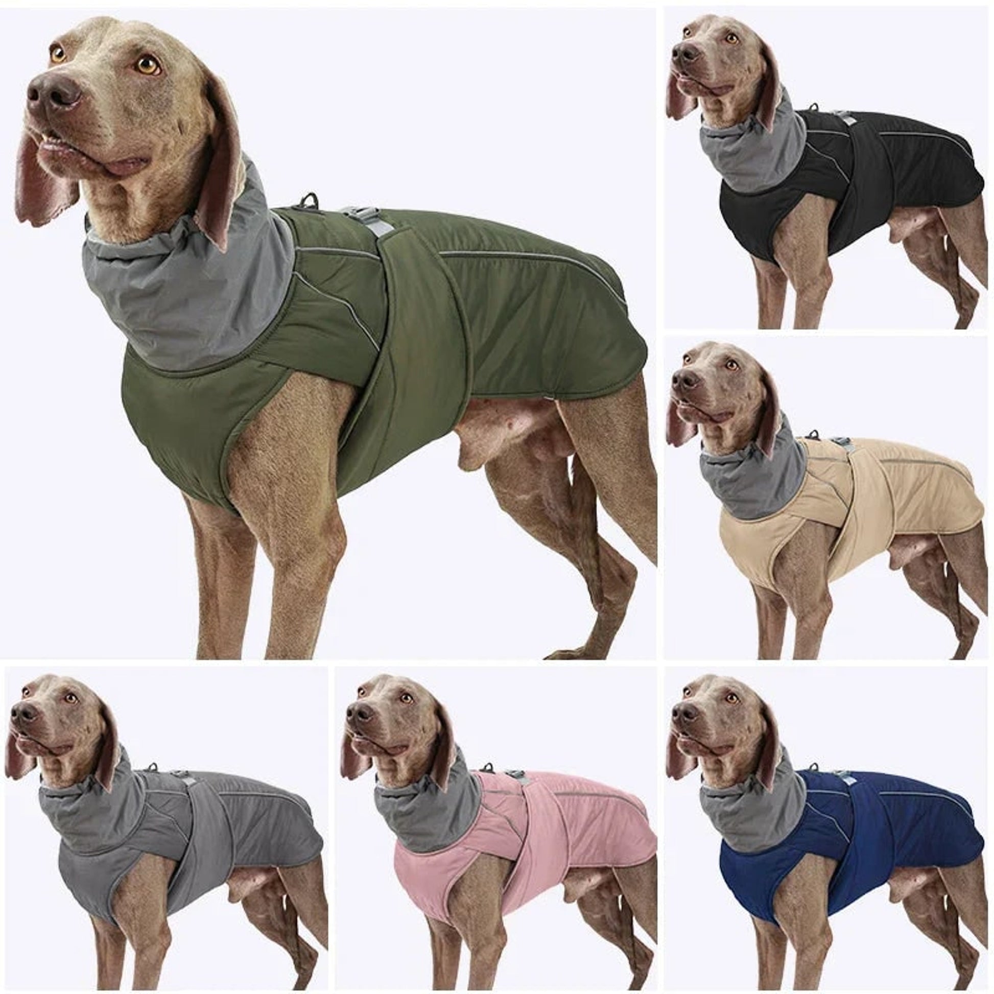 Dog Winter Coat With Reflective Trim High Collar Adjustable Waist Strap And D-ring For Harness - Image 3