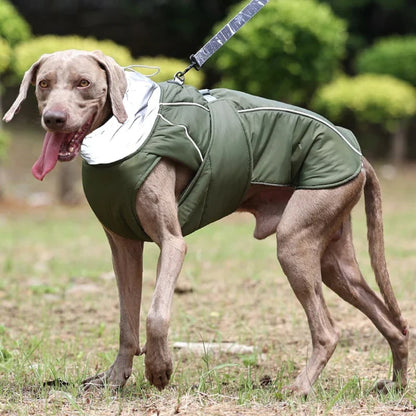 Dog Winter Coat With Reflective Trim High Collar Adjustable Waist Strap And D-ring For Harness - Image 2