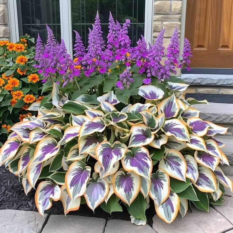 Flower Seeds Plant Hosta Heirloom Perennial Shade - Image 21