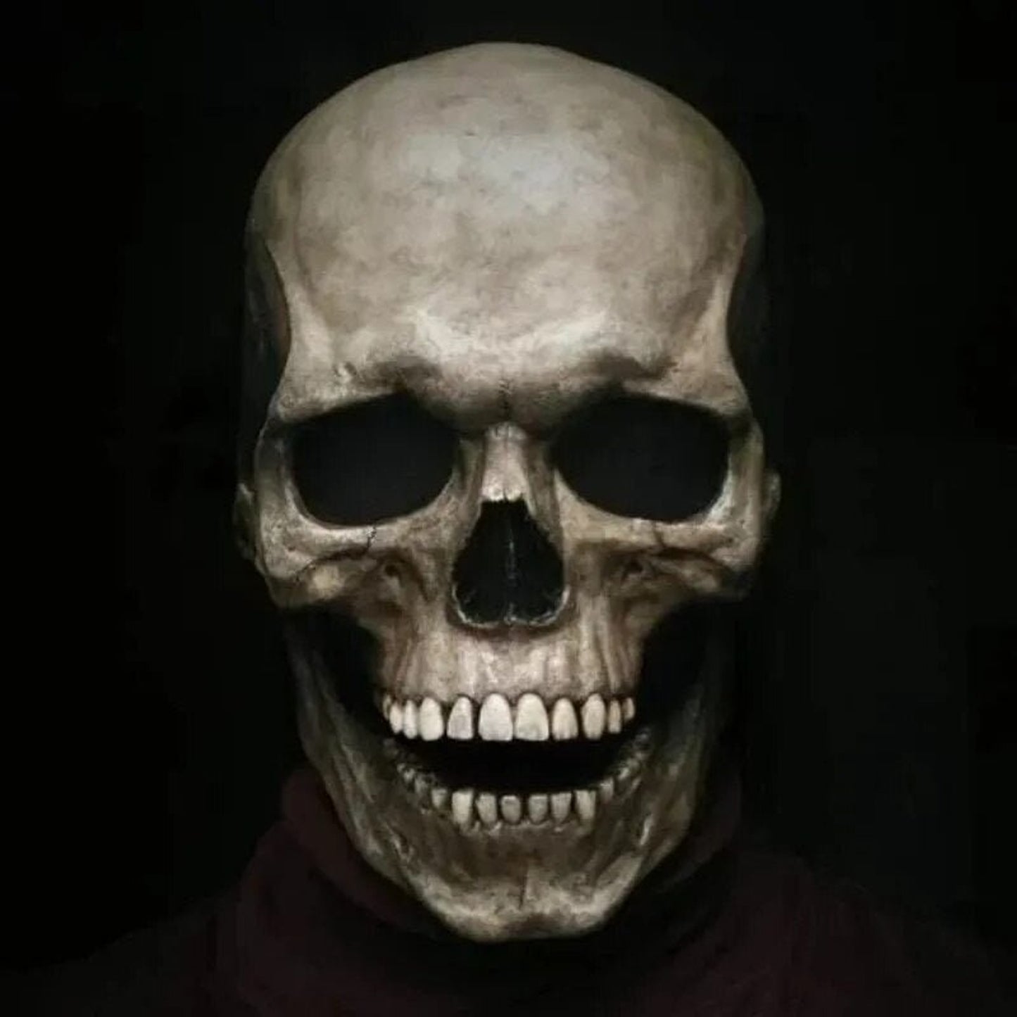 Halloween Mask Full Head Movable Jaw Realistic Skull - Image 5
