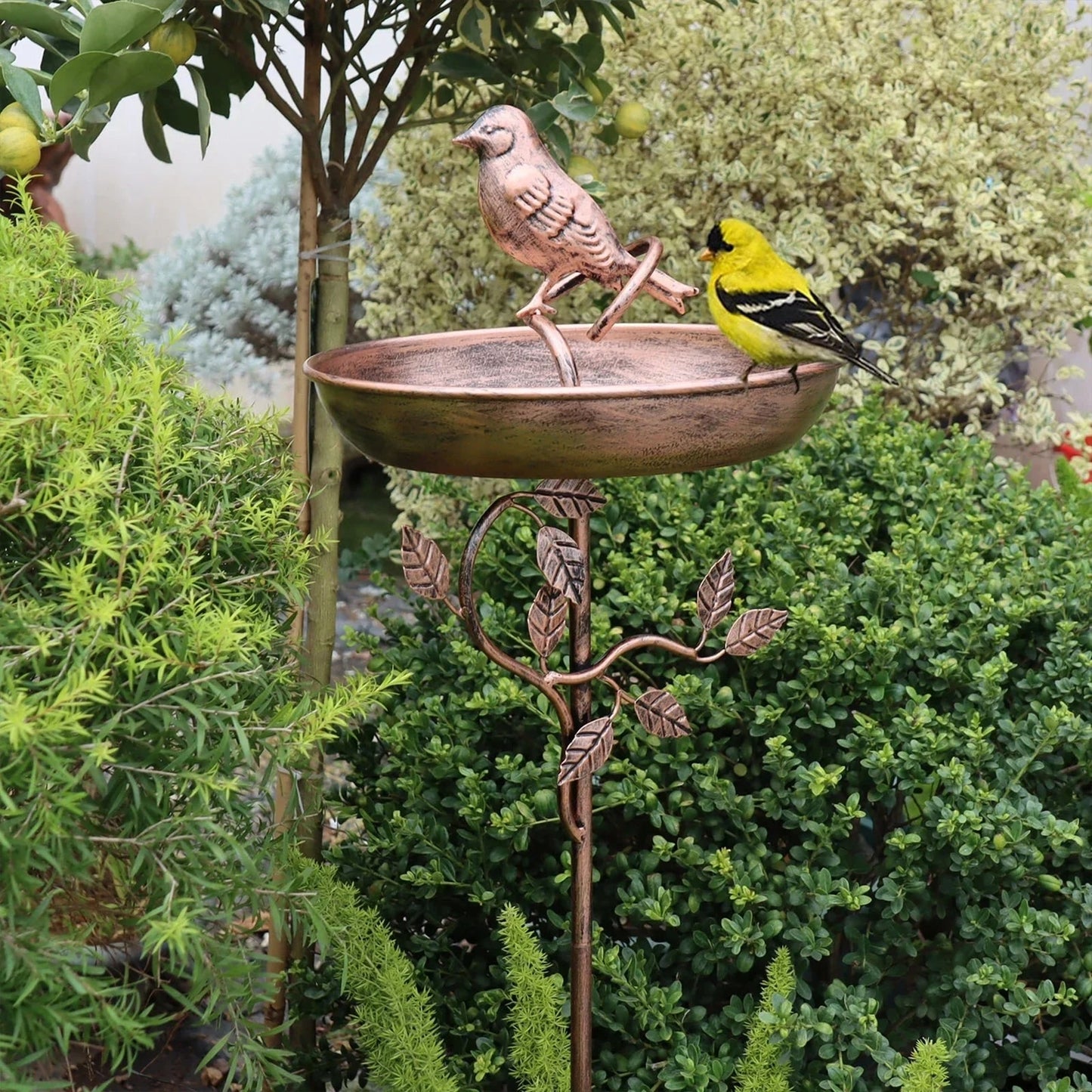 Metal Bird Bath Wild Rustic Garden Decorative - Image 5