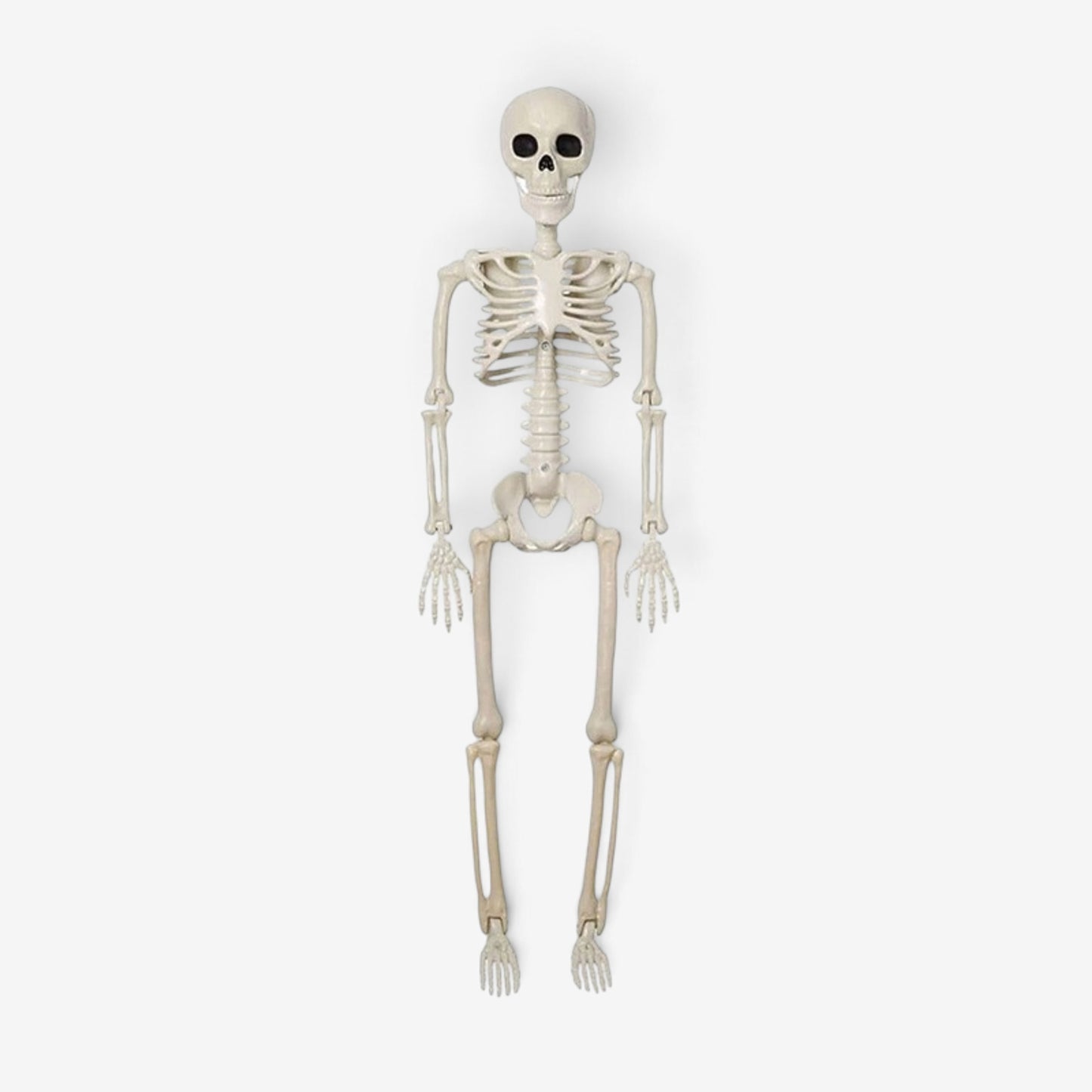 Outdoor Halloween Decor Life-Size Articulated Plastic Skeleton Decoration Spooky - Image 1