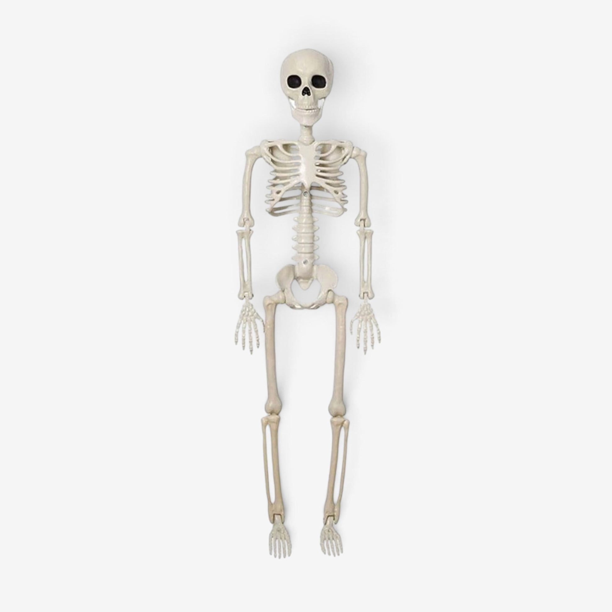 Outdoor Halloween Decor Life-Size Articulated Plastic Skeleton Decoration Spooky - Image 1