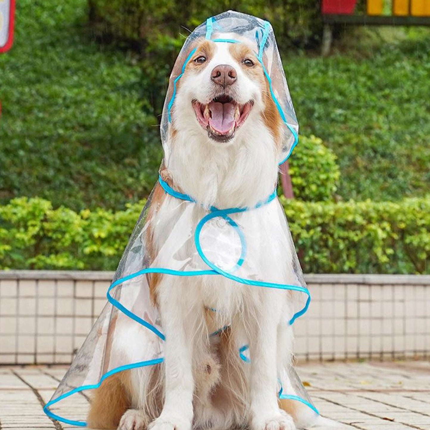 Pet Raincoat Dog Rain Jacket With Hood Transparent Snap Closure Rainwear - Image 4
