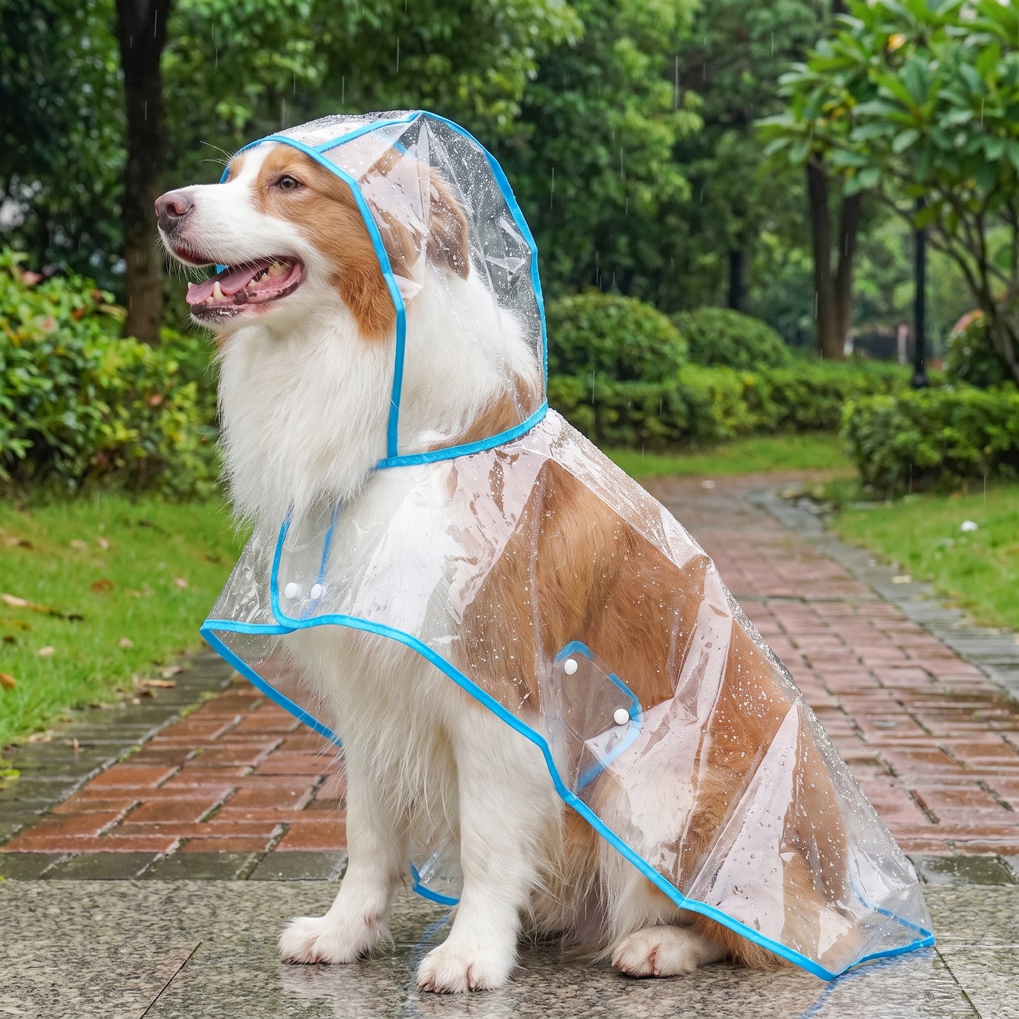 Pet Raincoat Dog Rain Jacket With Hood Transparent Snap Closure Rainwear - Image 2