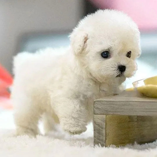 Robot Puppy Toy Interactive Plush Dog Assorted Colors Realistic Robot - Image 2